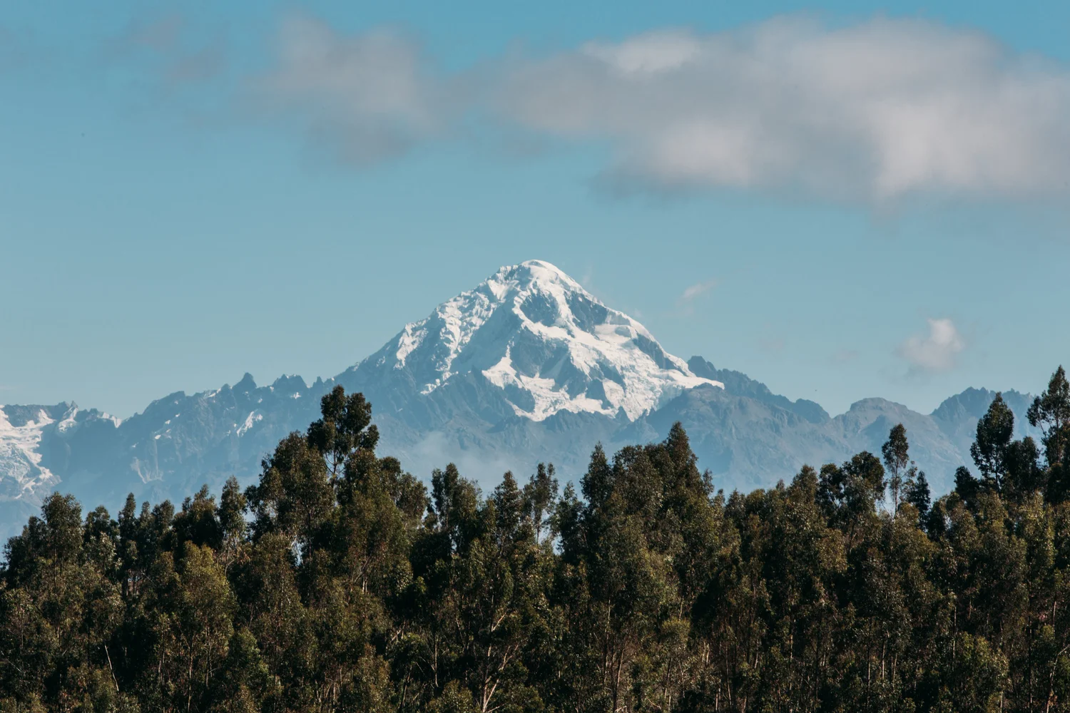 Mountain snow peak trees forest peru andes – Landscape