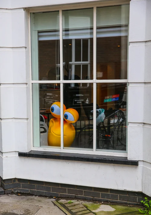 Window shop duck toy white building – Street