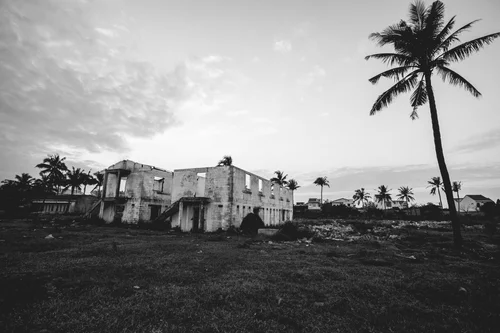 Vietnam palm trees black and white ruins – Vietnam
