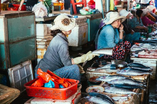Vietnam fish market women vendors hoi an – Vietnam