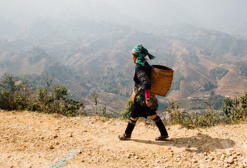 Vietnam woman walking basket mountains sapa hmong – Vietnam