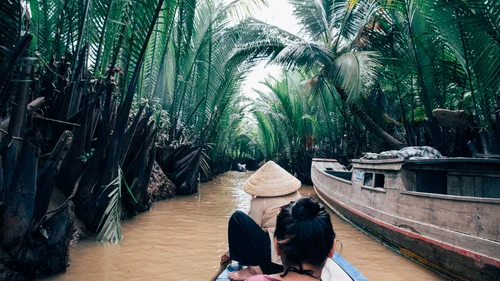 Vietnam mekong delta boat palm trees river – Vietnam