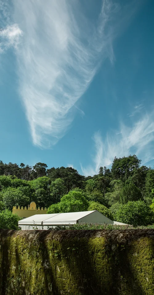 Portugal sky clouds trees minimal – Portugal