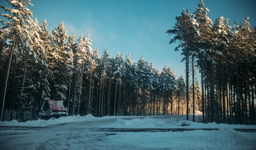 Stockholm snow forest road trees winter – Stockholm
