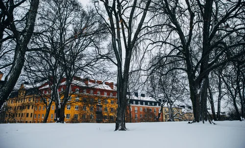 Stockholm park snow trees winter buildings – Stockholm