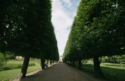Copenhagen tree lined avenue park path symmetry – Copenhagen