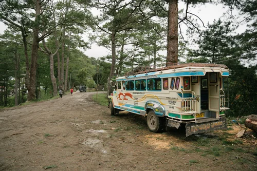 Philippines jeepney bus pine trees baguio road – Philippines
