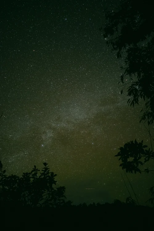 Philippines stars night sky milky way trees – Philippines